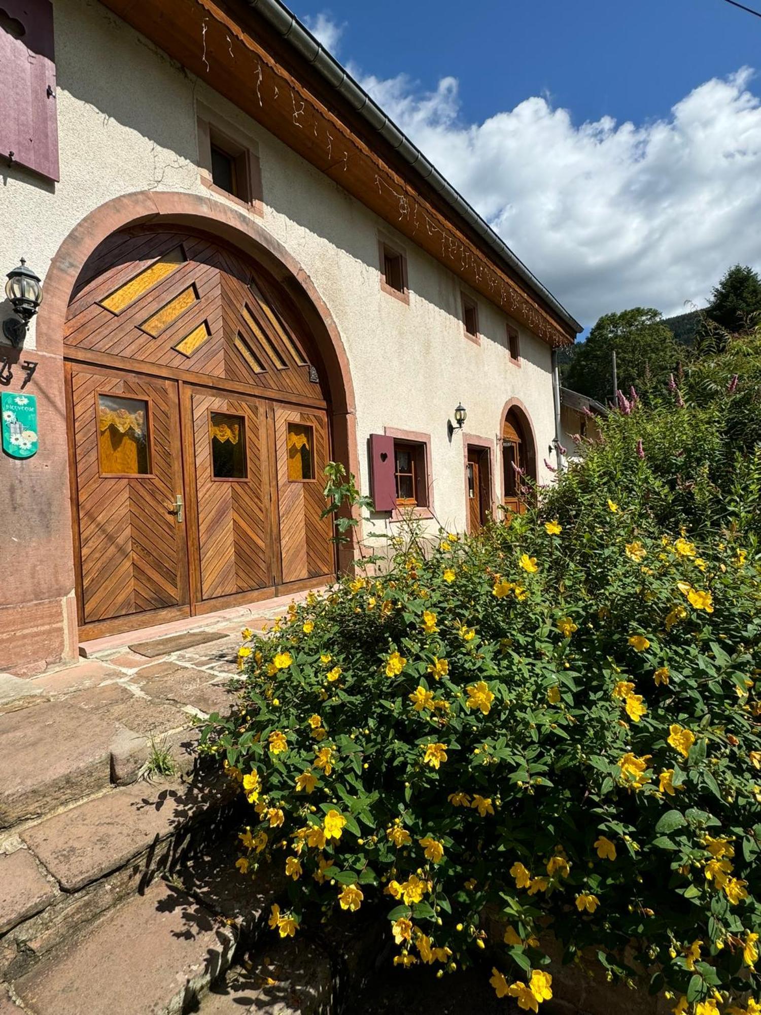 Gîte Emeraude Plaine Exterior foto